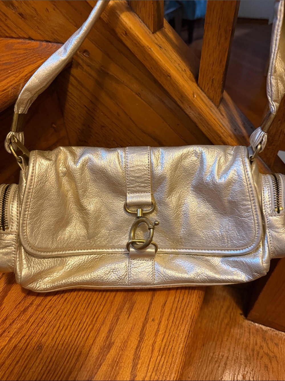 Banana Republic Silver Metallic Leather Shoulder Bag with Ring Hardware